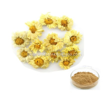Natural Wild Chrysanthemum Extract Powder With Flavonoids